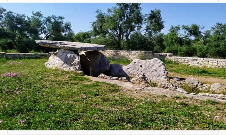 Amaste In Puglia Casa Vacanza Bisceglie Bagian luar foto